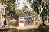 Mildura Plaza Motor Inn - Tourism Caloundra 4