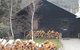 Crackenback Farm Restaurant And Guesthouse - thumb 2