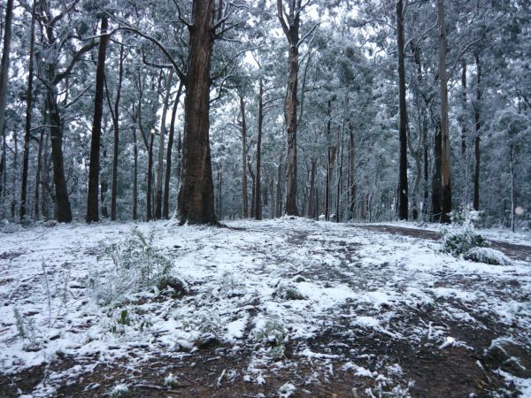 Fumina South VIC Tourism Caloundra