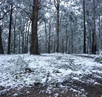 High Peaks Cottages - Tourism Caloundra