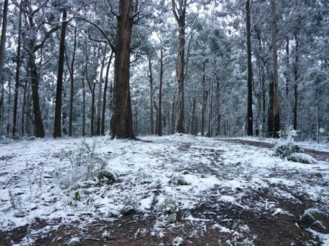 High Peaks Cottages - Tourism Caloundra 0