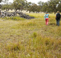 Carnarvon National Park camping - Tourism Caloundra