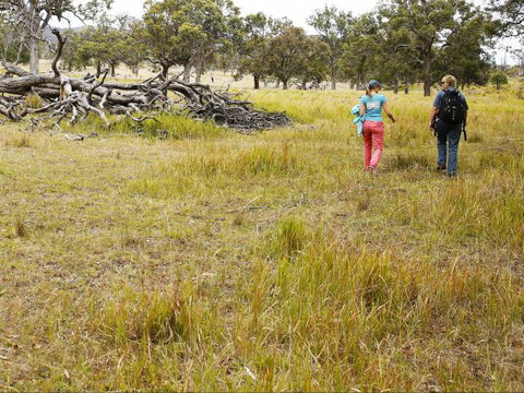 Carnarvon National Park Camping - Tourism Caloundra 0