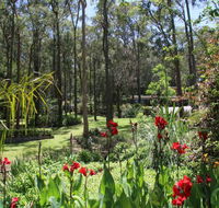 Werekataba - Tourism Caloundra