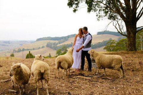 Halcyon Cottage Retreat - Self Contained Accommodation - Tourism Caloundra 2