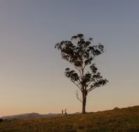 Faulls Ridge Winery - Tourism Caloundra