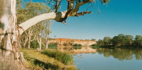 Border Cliffs River Retreat - Tourism Caloundra 0