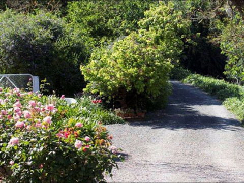 Brown's House Bed & Breakfast - Tourism Caloundra 3