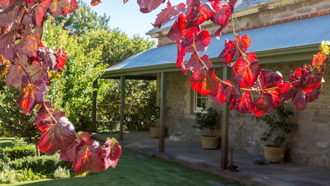Grand Cru Estate Homestead - Tourism Caloundra 0