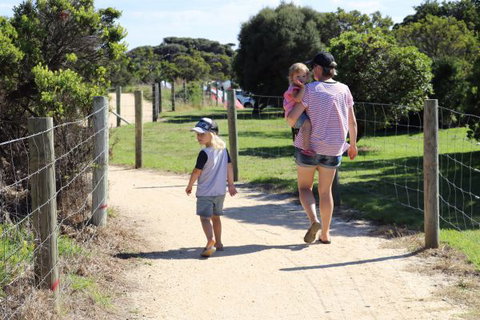 Anglesea Family Caravan Park - Tourism Caloundra 4