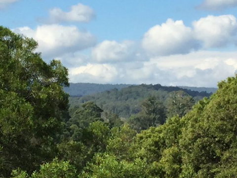 Barrington Tops Escapes - Tourism Caloundra 3