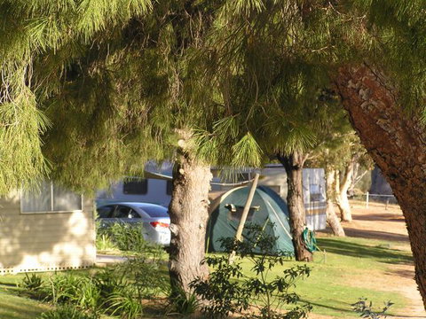 Barmera North Lake Caravan Park - Tourism Caloundra 0