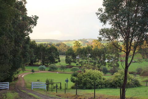 Blue House Bed And Breakfast - Tourism Caloundra 1