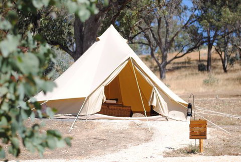 Cosy Tents - Tourism Caloundra 0