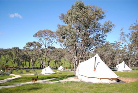 Cosy Tents - Tourism Caloundra 5