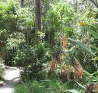 Dunns Creek Downs Nature Stay - Tourism Caloundra