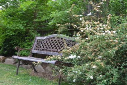 Garden Cottage B And B - Tourism Caloundra 4