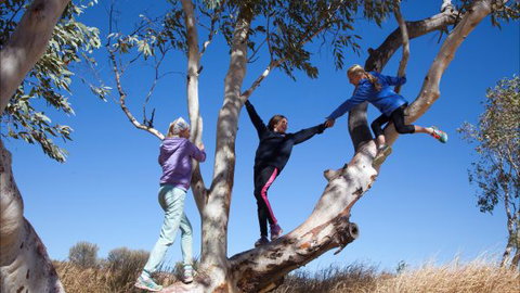 Hamilton Downs Youth Camp - Tourism Caloundra 4