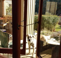 Mara Ponds Branxholm - Tourism Caloundra