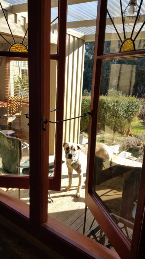 Mara Ponds Branxholm - Tourism Caloundra 0