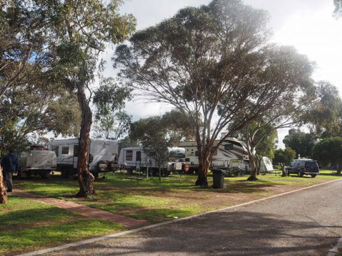 Murray Bridge Marina Camping And Caravan Park - Tourism Caloundra 4