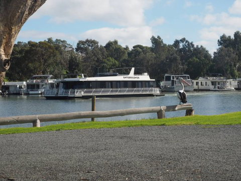 Murray Bridge Marina Camping And Caravan Park - Tourism Caloundra 6