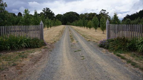 Oakhill Cottage - Tourism Caloundra 7