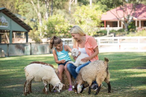 Paradise Country Farmstay - Tourism Caloundra 6