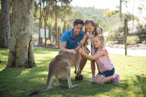 Paradise Country Farmstay - Tourism Caloundra 7