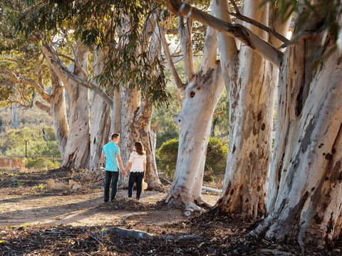 Rilli Retreat - Tourism Caloundra 3