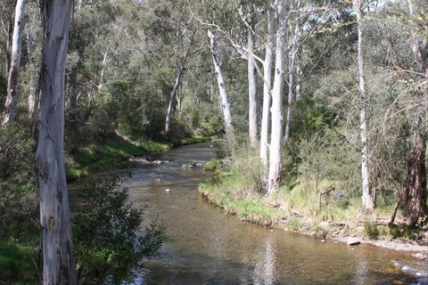 Stockyard Creek - Tourism Caloundra 2