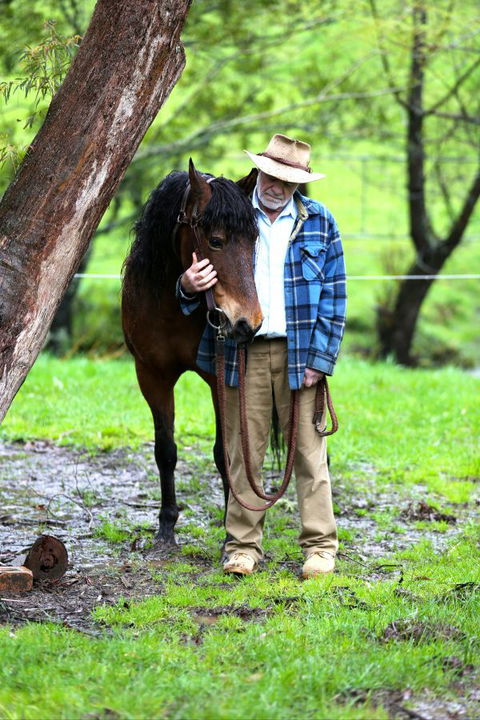 Stockyard Creek - Tourism Caloundra 4