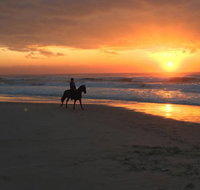 Tassiriki Holiday Cabins - Tourism Caloundra
