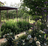 Wandana Bed and Breakfast - Tourism Caloundra