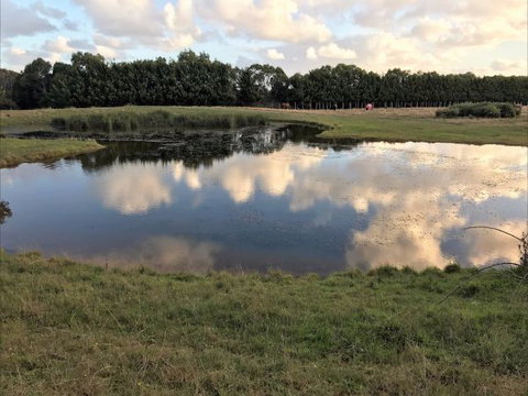 Woodbyne Resort - Tourism Caloundra 2