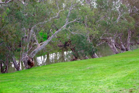 Yalooka Farm - Tourism Caloundra 4
