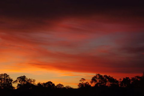 Yalooka Farm - Tourism Caloundra 5