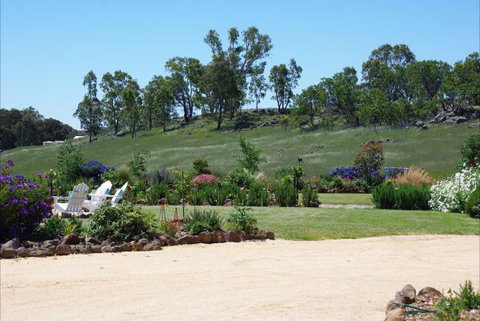 Yalooka Farm - Tourism Caloundra 6