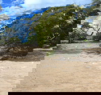 Acraman Creek Conservation Park Campgrounds - Tourism Caloundra