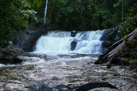 Bellthorpe Stays - Nature's Retreat - Tourism Caloundra 5