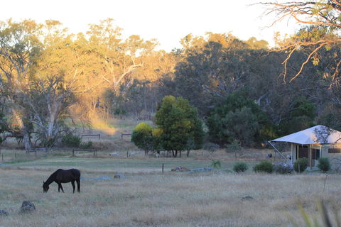 Boongarrie Luxury Tent - Tourism Caloundra 7