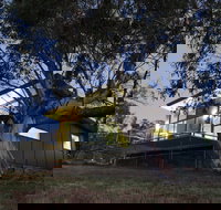 ecocrackenback - Tourism Caloundra