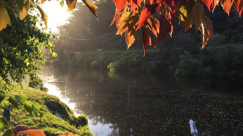 Forth River Cottage - Tourism Caloundra 4