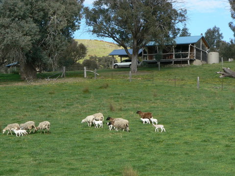 Gaddleen Grove Cottages - Tourism Caloundra 0