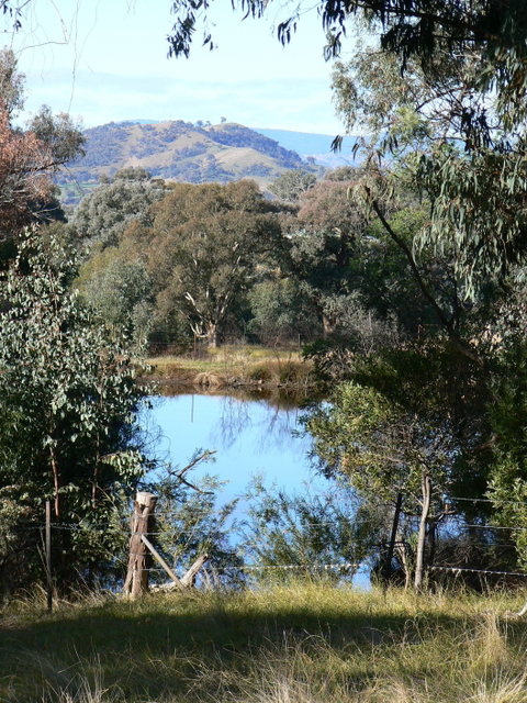 Gaddleen Grove Cottages - Tourism Caloundra 6