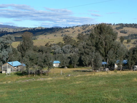 Gaddleen Grove Cottages - Tourism Caloundra 7