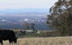 Gaddleen Grove Cottages - thumb 8