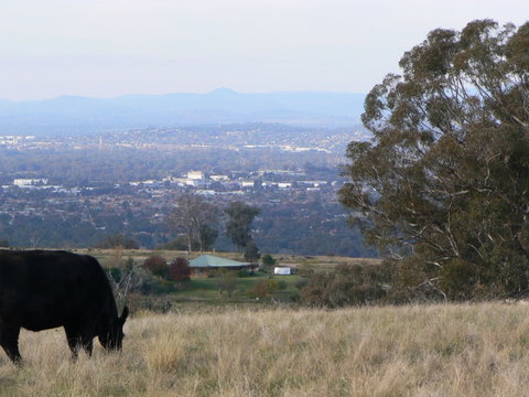 Gaddleen Grove Cottages - Tourism Caloundra 8