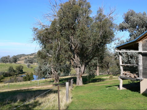 Gaddleen Grove Cottages - Tourism Caloundra 9