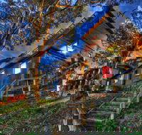 Golden Eagle 2 - Tourism Caloundra